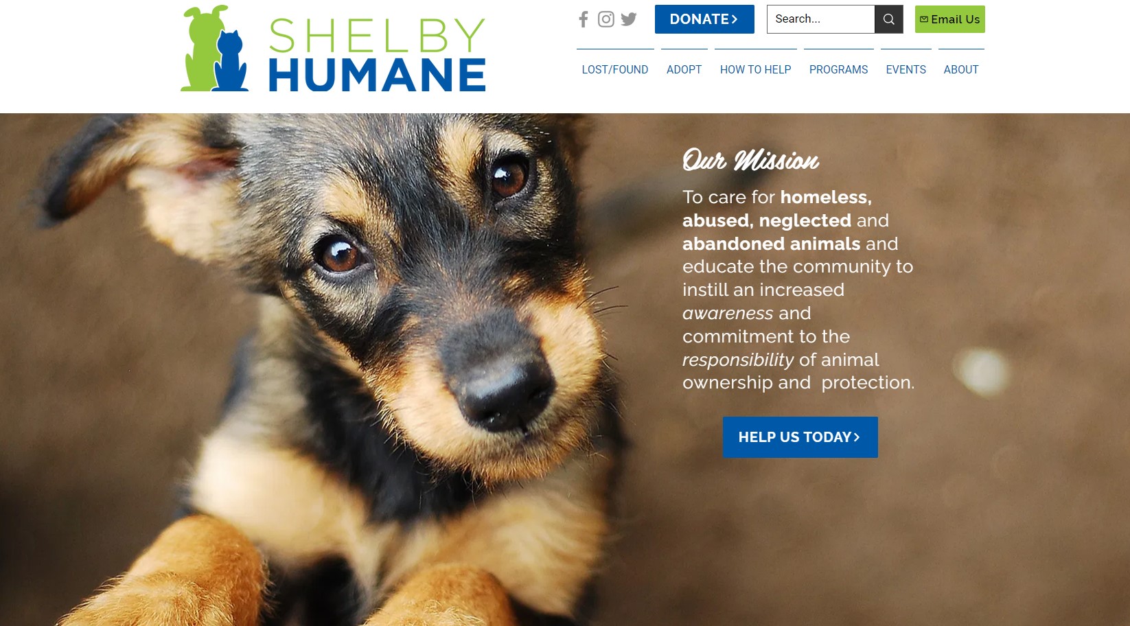 Shelby Humane website with furry cute puppy