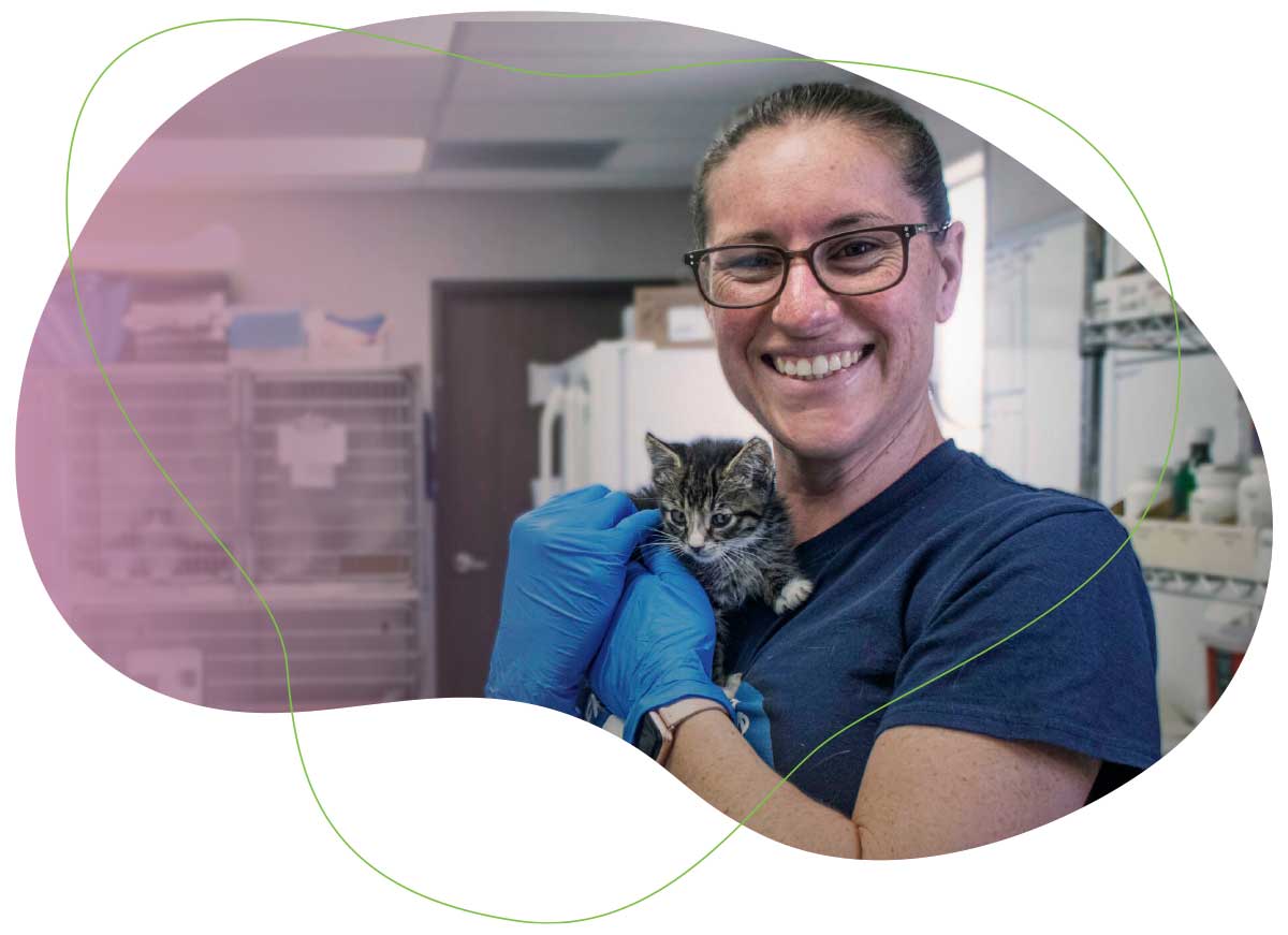 Smiling woman veterinarian holding a kitten